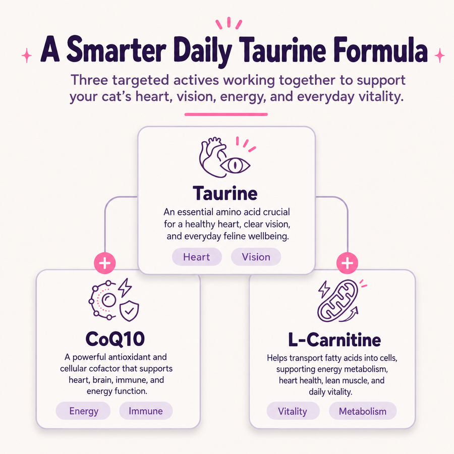 A smarter daily formula — taurine, CoQ10 and L-carnitine