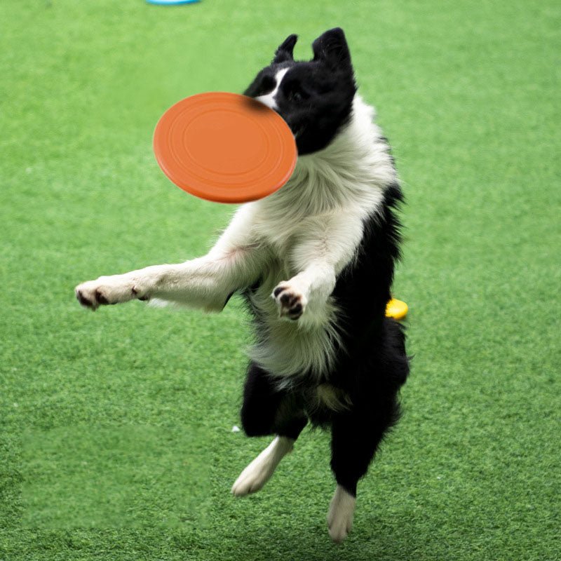 7 Colors Silicone Flying Saucer Funny Dog Cat Toy Dog Game Flying Discs Resistant Chew Puppy Training Interactive Pet Supplies - Meowy