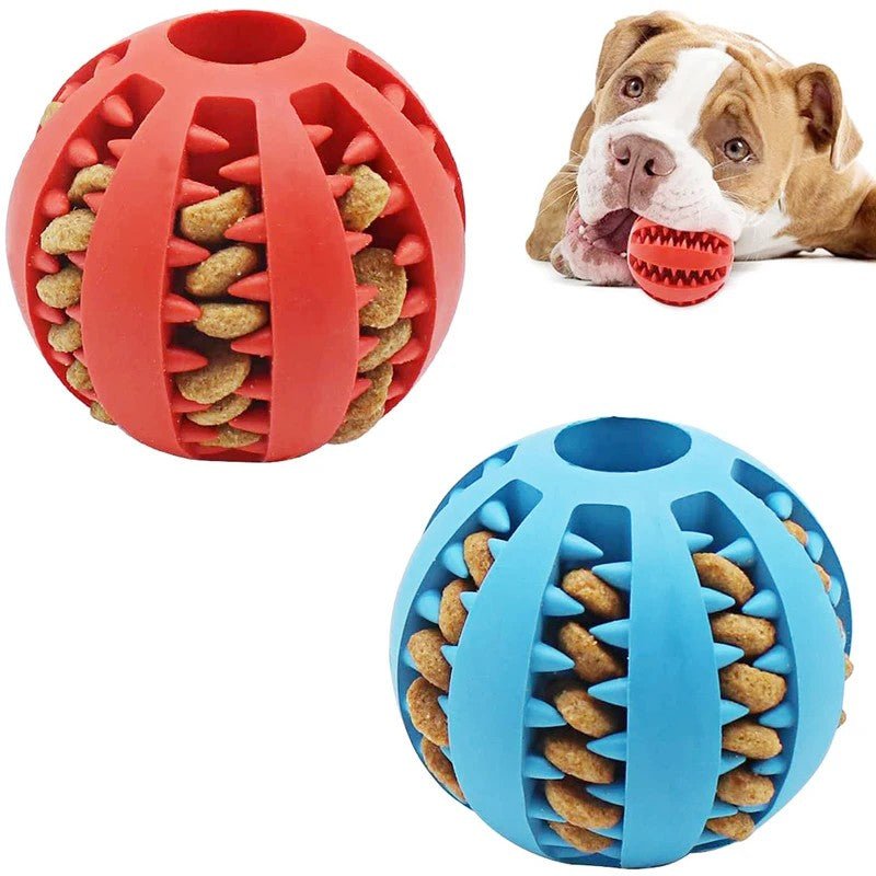 Dog Ball Toys for Small Dogs Interactive Elasticity Puppy Chew Toy Tooth Cleaning Rubber Food Ball Toy Pet Stuff Accessories - Meowy