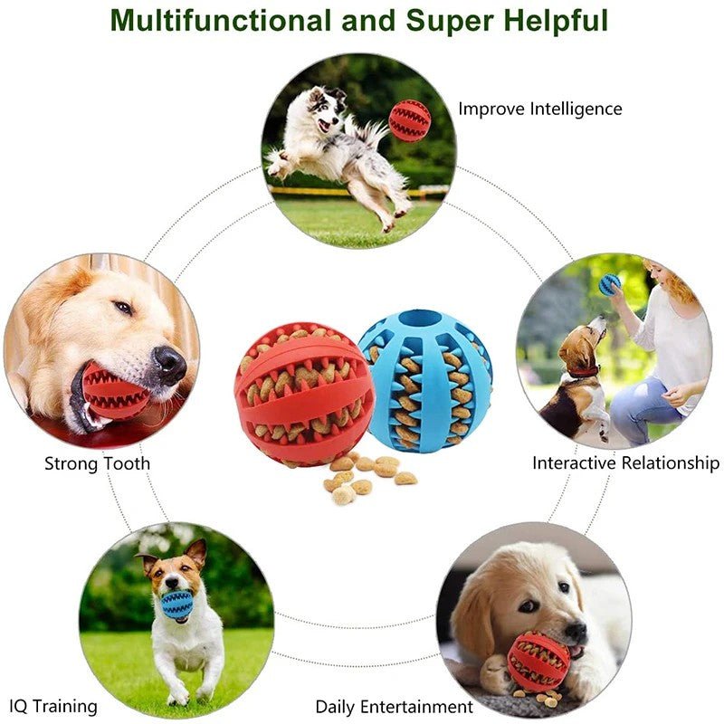 Dog Ball Toys for Small Dogs Interactive Elasticity Puppy Chew Toy Tooth Cleaning Rubber Food Ball Toy Pet Stuff Accessories - Meowy