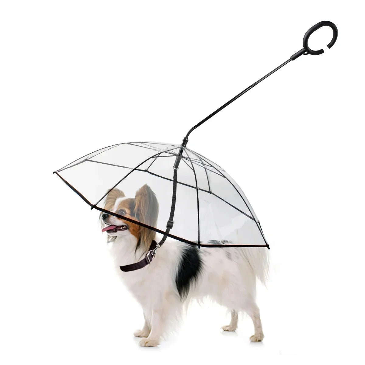 Dog Umbrella - Meowy