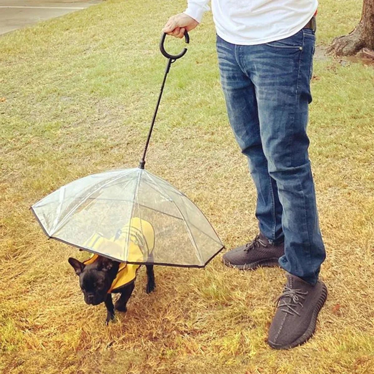 Dog Umbrella - Meowy