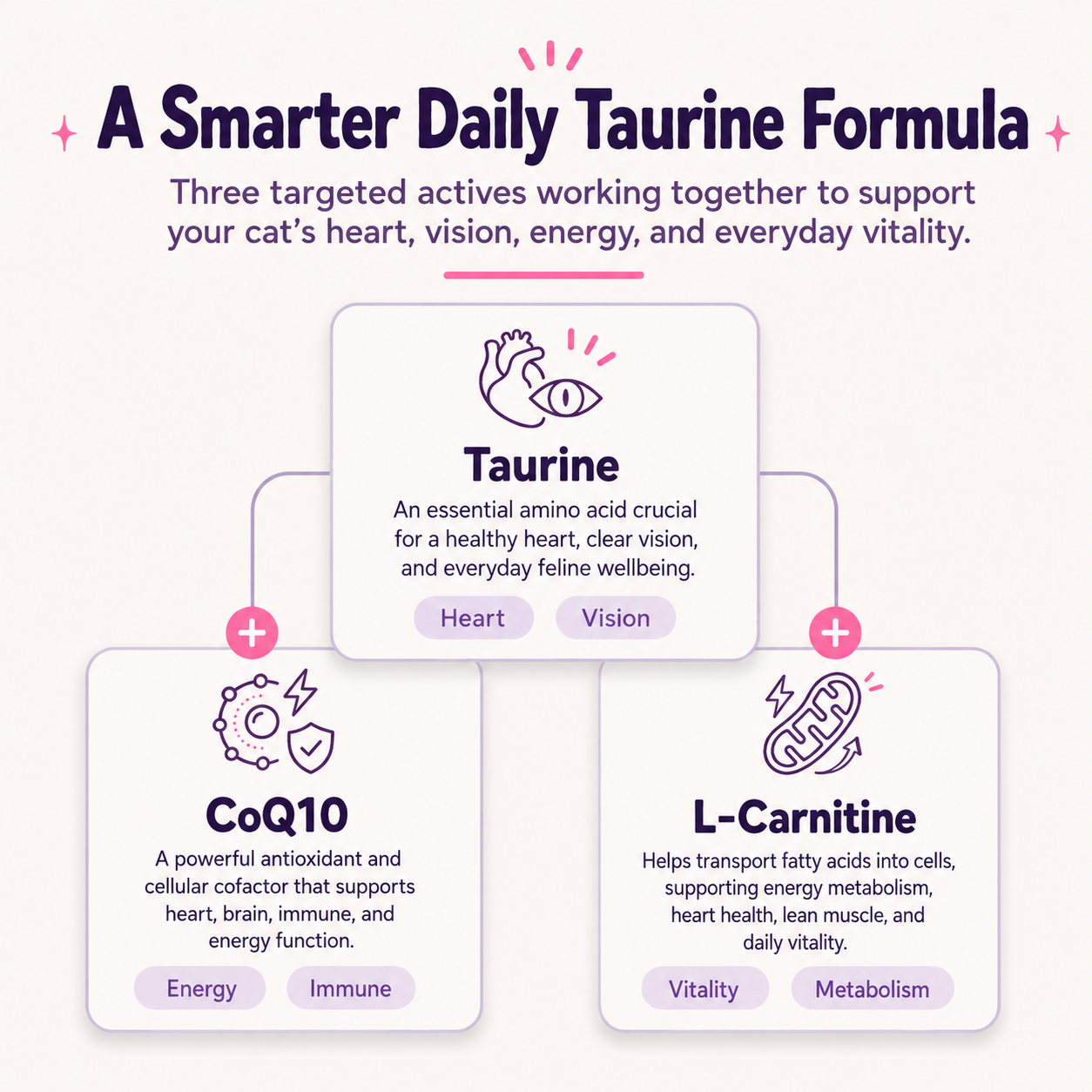 A smarter daily formula — taurine, CoQ10 and L-carnitine